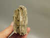 Petrified Wood Polished Limb Bruneau Woodpile Idaho #OBWO2