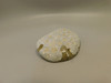 Petoskey Stone Polished Rock Fossil Michigan #O10