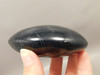 Spiderweb Obsidian Polished Rock Massage Healing Palm Stone #O2