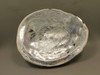 Iridescent Abalone Shell Large 8 inch Natural Silvery Pink #O1