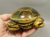 Turtle Figurine Tiger-eye 5.5 inch Gemstone Animal Carving #O73