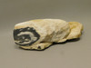Petrified Wood Rough Limb Little Humboldt River Nevada #O1