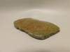Agatized Whale Bone Fossilized Petrified Polished Rock Slab #O101