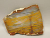 Petrified Wood Polished Slab Rock Grassy Mountain Oregon #O108