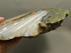 Lucky Strike Mine Thunderegg Agate Polished Stone #O200