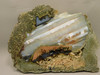 Lucky Strike Mine Thunderegg Agate Polished Stone #O200
