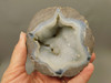 Dugway Thunderegg Rock Geode Blue Agate Druse Crystals #O27