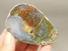 Owls Hole Agate Polished Rock Collector RARE Red Plume #O6