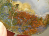Owls Hole Agate Polished Rock Collector RARE Red Plume #O6