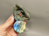 Howling Wolf Moon Figurine Labradorite 3.7 inch Coyote Carving #O302
