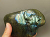 Steer Skull Western Decor Cow Labradorite Stone 5.6 inch Cowboy #O374