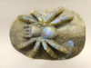 Spider Tarantula Figurine Labradorite Gemstone 5.6 inch Carving #O227