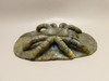 Spider Tarantula Figurine Labradorite Gemstone 5.6 inch Carving #O227