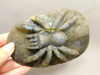 Spider Tarantula Figurine Labradorite Gemstone 5.6 inch Carving #O227