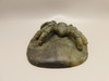 Spider Tarantula Figurine Labradorite Gemstone 5.6 inch Carving #O227