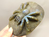 Spider Tarantula Figurine Labradorite Gemstone 5.6 inch Carving #O227