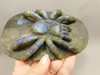 Spider Tarantula Figurine Labradorite Gemstone 5.6 inch Carving #O227