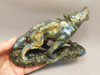 Wolf Figurine Labradorite Stone Animal 7 inch Coyote Carving #O492