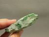 Maw Sit Sit Unpolished Lapidary Rough Rock Green Jade #O2