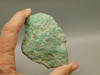 Maw Sit Sit Unpolished Lapidary Rough Rock Green Jade #O2