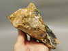 Spotted Fawn Stone or Tigilitis Lapidary Rough Rock #O2