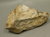 Spotted Fawn Stone or Tigilitis Lapidary Rough Rock #O2
