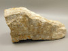 Spotted Fawn Stone or Tigilitis Lapidary Rough Rock #O2