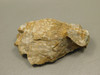 Spotted Fawn Stone or Tigilitis Lapidary Rough Rock #O3
