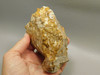 Spotted Fawn Stone or Tigilitis Lapidary Rough Rock #O3