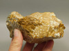 Spotted Fawn Stone or Tigilitis Lapidary Rough Rock #O3