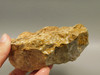 Spotted Fawn Stone or Tigilitis Lapidary Rough Rock #O3