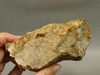 Spotted Fawn Stone or Tigilitis Lapidary Rough Rock #O3