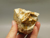 Spotted Fawn Stone or Tigilitis Lapidary Rough Rock #O3