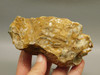 Spotted Fawn Stone or Tigilitis Lapidary Rough Rock #O3