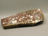 Wild Horse Unpolished Rough Rock Lapidary Arizona #O21