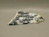 Medicine Bow Agate Stone Slab Unpolished Rough Rock Wyoming #O1