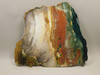 Hampton Butte Petrified Wood Jasper Rough Rock Stone Slab #O2