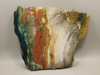 Hampton Butte Petrified Wood Jasper Rough Rock Stone Slab #O2