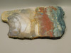 Hampton Butte Petrified Wood Jasper Rough Rock Stone Slab #O2