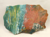 Hampton Butte Petrified Wood Jasper Rough Rock Stone Slab #O1