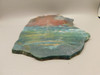Hampton Butte Petrified Wood Jasper Rough Rock Stone Slab #O1