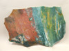 Hampton Butte Petrified Wood Jasper Rough Rock Stone Slab #O1