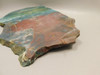 Hampton Butte Petrified Wood Jasper Rough Rock Stone Slab #O1