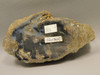 Eden Valley Petrified Wood Wyoming Polished Round #O132-16