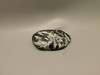 Chrysanthemum Stone 2.7 inch Palm Worry Stone Natural Rock #O11
