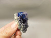 Covellite Polished Stone Butte Montana Rock #O10