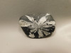 Chrysanthemum Stone 2.6 inch Palm Worry Stone Natural Rock #O21