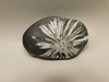 Chrysanthemum Stone 2.9 inch Palm Worry Natural Rock #O25