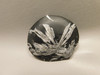 Chrysanthemum Stone 2.65 inch Palm Worry Natural Rock #O22