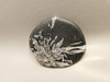 Chrysanthemum Stone 2.65 inch Palm Worry Natural Rock #O22